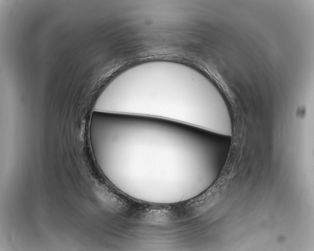 X0000099550066200805160736