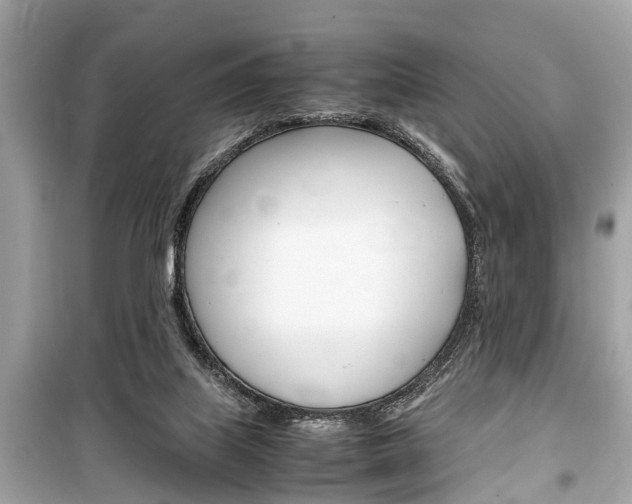 X0000099550067200805160736
