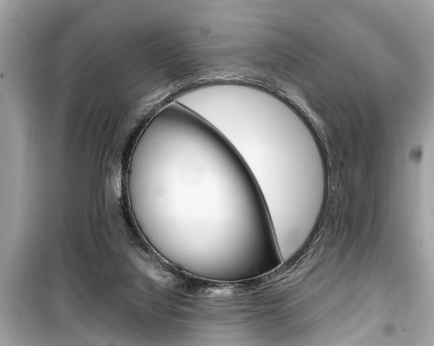 X0000099550068200805160736