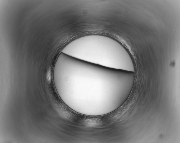 X0000099550069200805160736