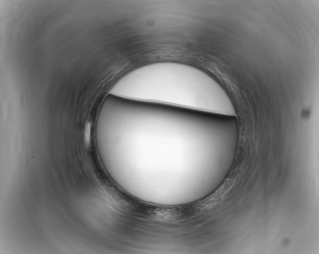 X0000099550070200805160736