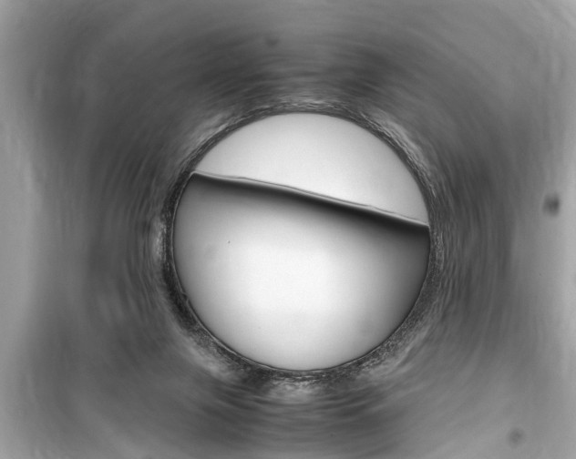 X0000099550071200805160736