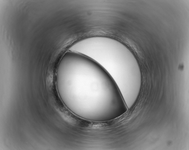 X0000099550072200805160736