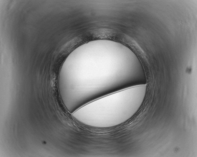 X0000099550073200805160736