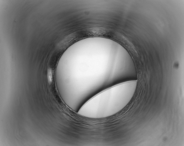 X0000099550075200805160736