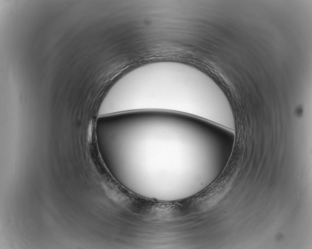 X0000099550076200805160736
