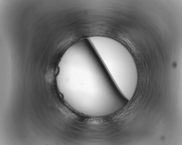 X0000099550077200805160736