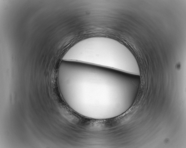X0000099550078200805160736