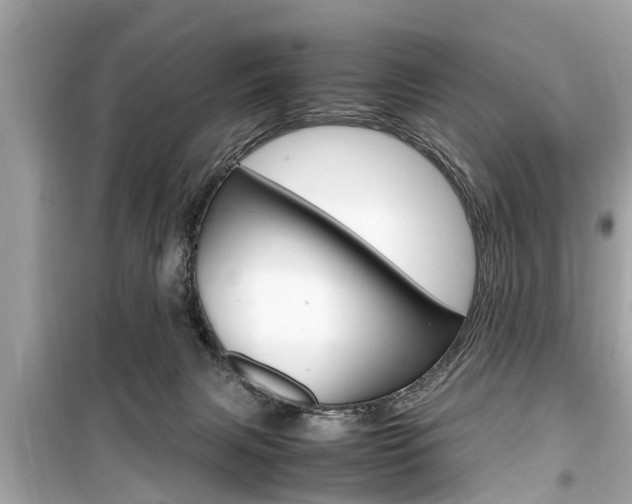 X0000099550079200805160736