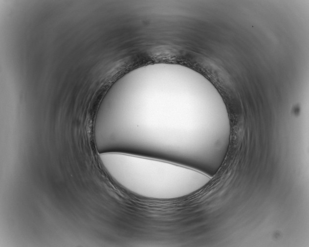 X0000099550081200805160736