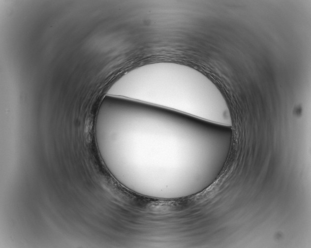 X0000099550082200805160736