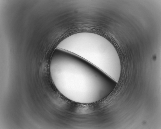 X0000099550083200805160736