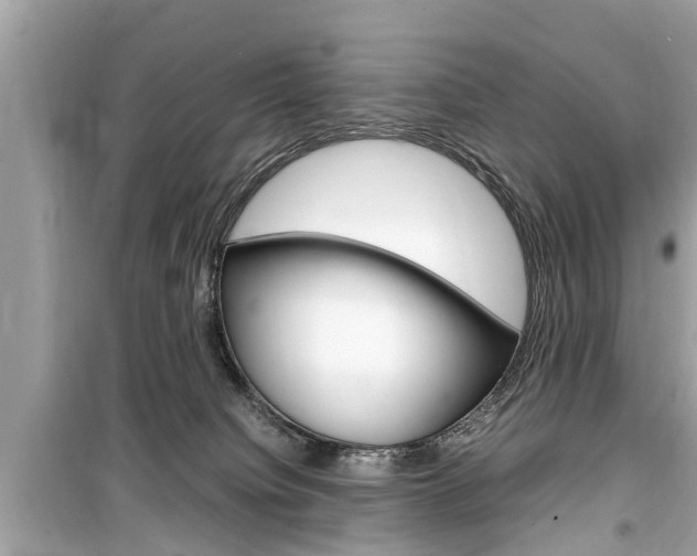 X0000099550084200805160736