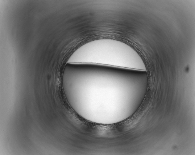 X0000099550085200805160736