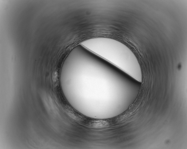 X0000099550087200805160736