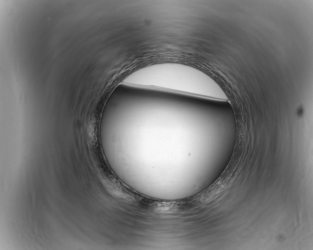 X0000099550088200805160736
