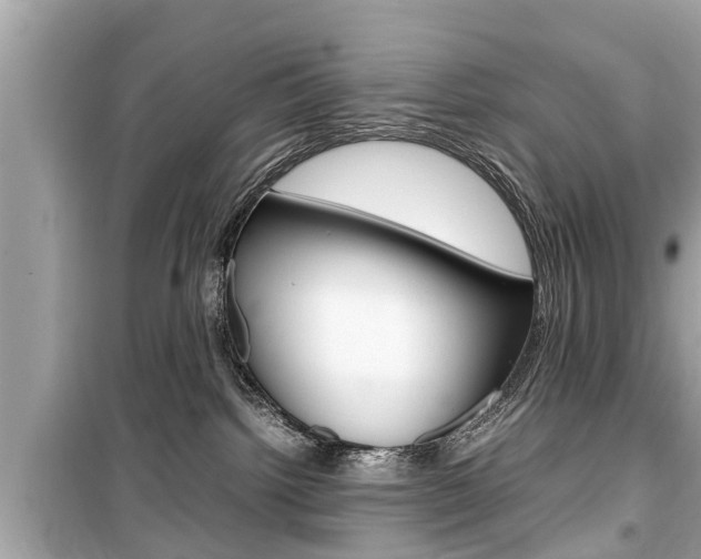 X0000099550092200805160737