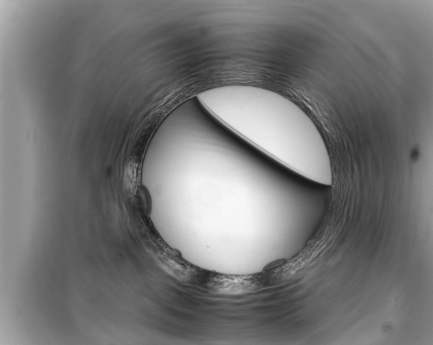 X0000099550093200805160737