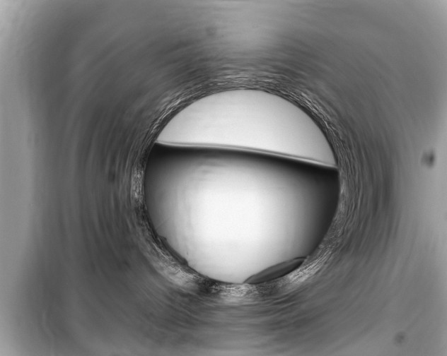 X0000099550096200805160737