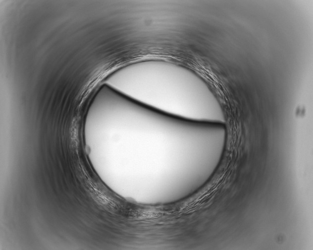 X0000099550098200805160736