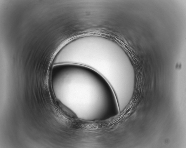 X0000099550100200805160736