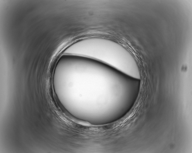 X0000099550101200805160736