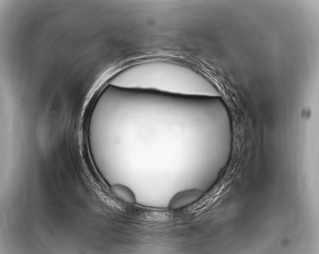 X0000099550102200805160736