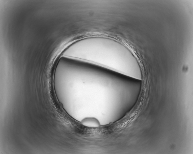 X0000099550103200805160736