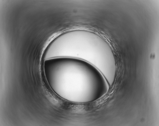 X0000099550104200805160736
