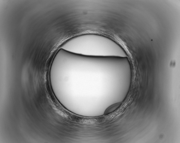 X0000099550106200805160736