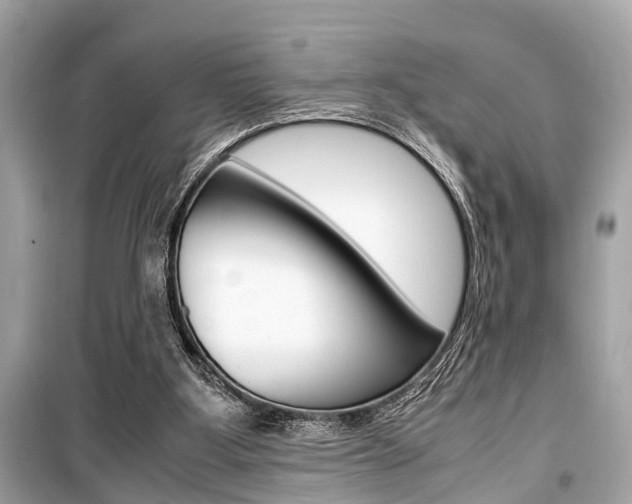 X0000099550107200805160736