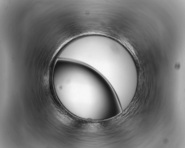 X0000099550108200805160736
