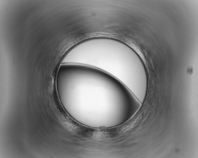 X0000099550109200805160736