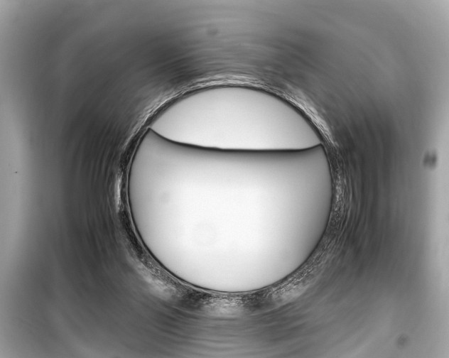 X0000099550110200805160736