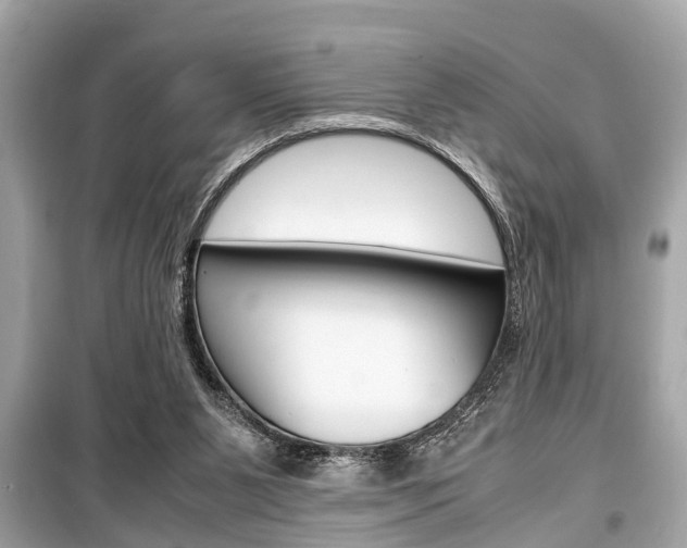 X0000099550111200805160736