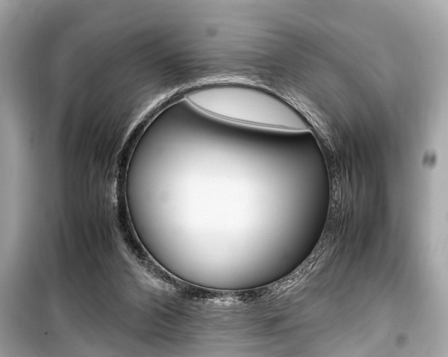 X0000099550112200805160736