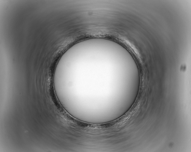 X0000099550113200805160736