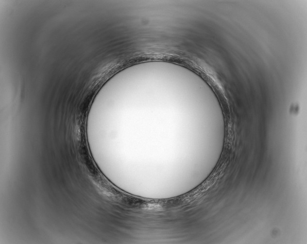 X0000099550114200805160736