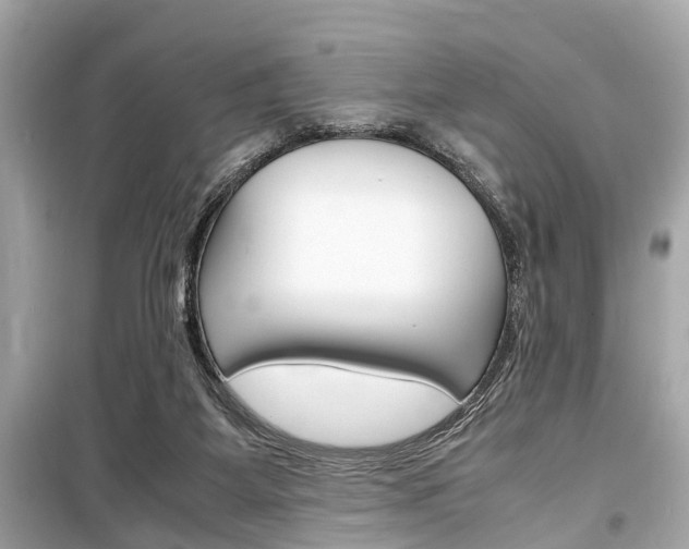 X0000099550115200805160736