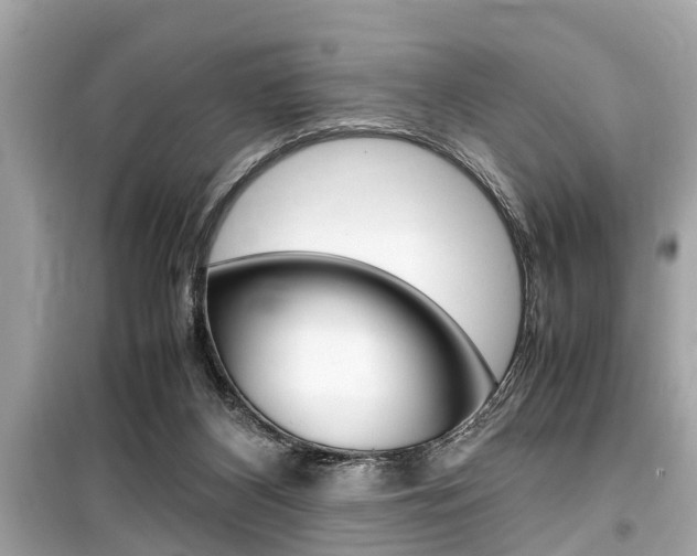 X0000099550116200805160736