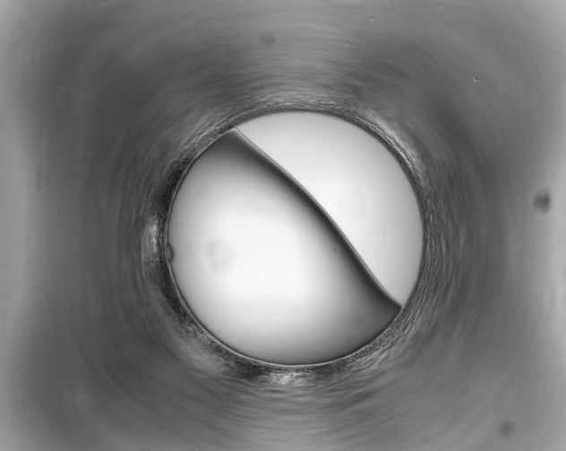 X0000099550117200805160736