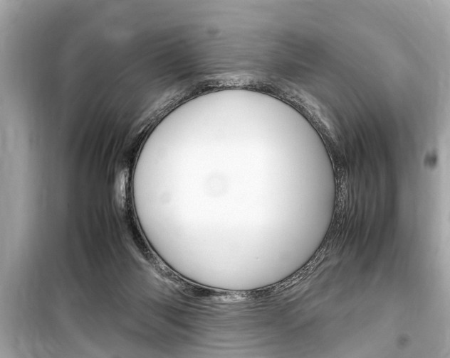 X0000099550118200805160736
