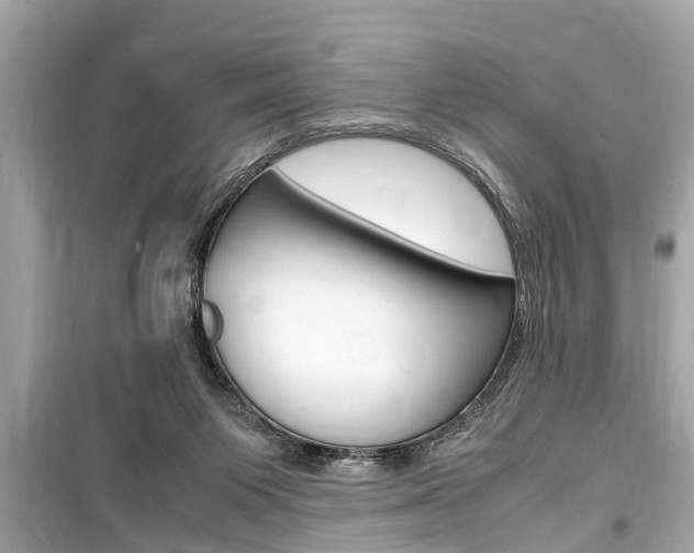 X0000099550119200805160736