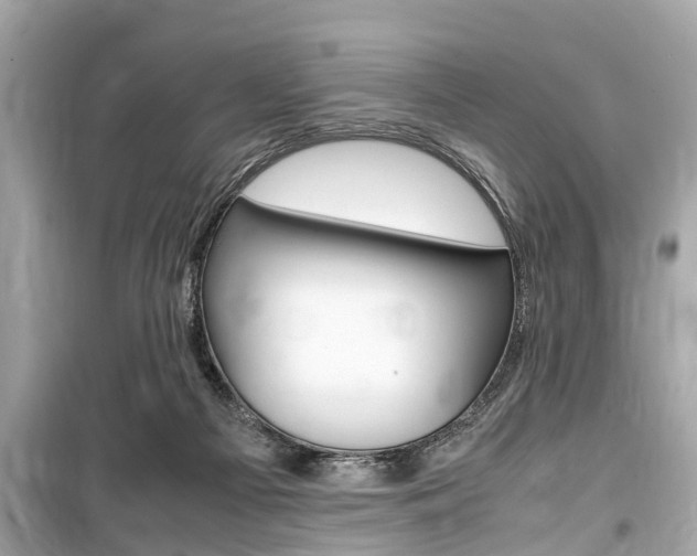 X0000099550121200805160736