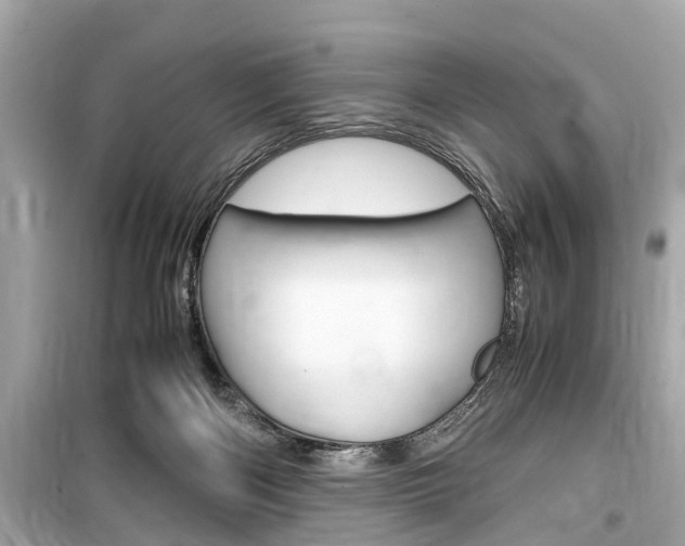 X0000099550122200805160736