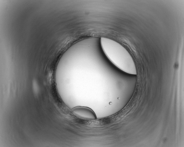X0000099550123200805160736