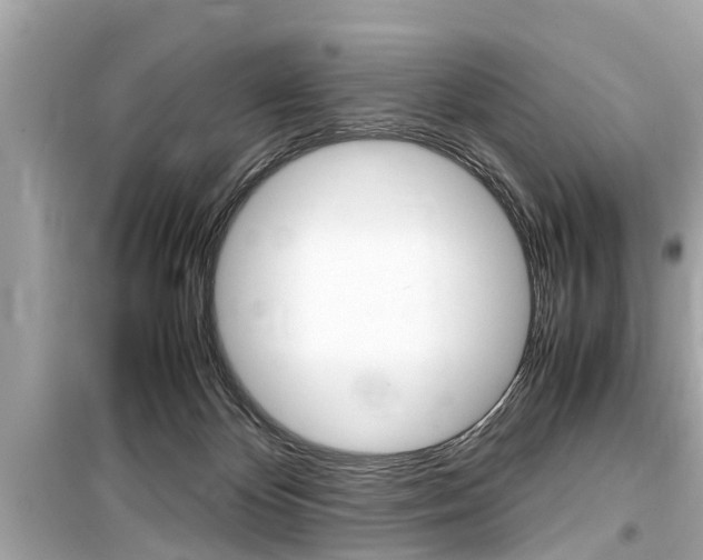 X0000099550124200805160736