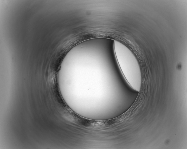 X0000099550125200805160736