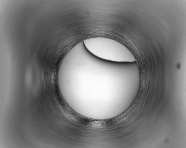 X0000099550126200805160736