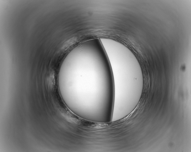X0000099550128200805160735
